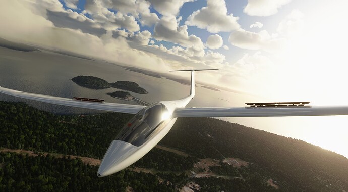 Microsoft Flight Simulator 12_9_2021 12_57_48 PM