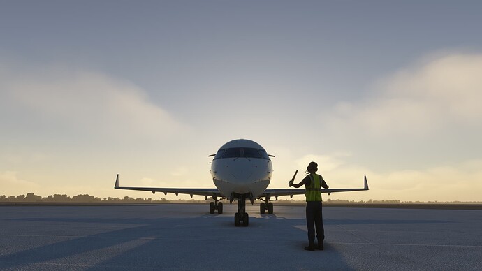 Microsoft Flight Simulator 9_24_2022 6_12_35 PM