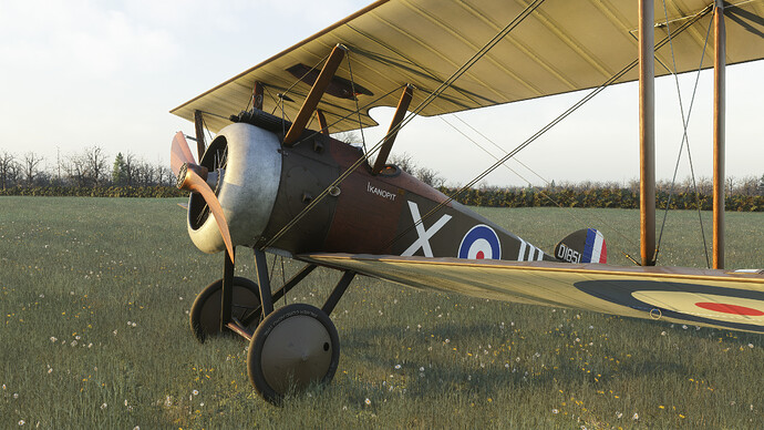 55121593618_b7c13118f1_4k