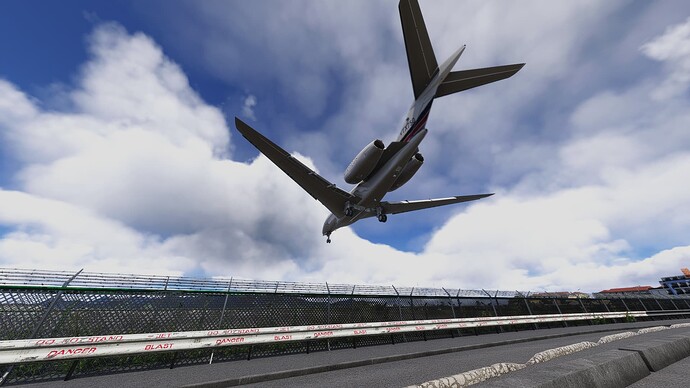FlightSimulator2024 2025-07-30 17-16-32_894
