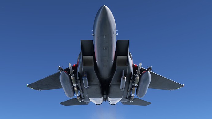 Microsoft Flight Simulator-2025_08_24-16-14-25