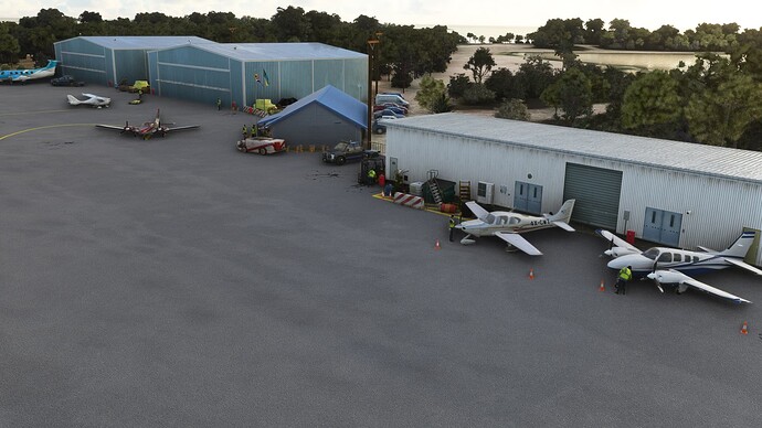 FlightSimulator 2022-01-17 20-55-49