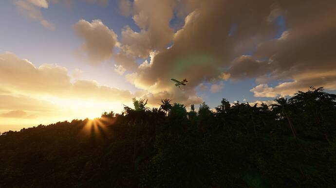 Microsoft Flight Simulator 12.06.2021 11_56_33 - Copy