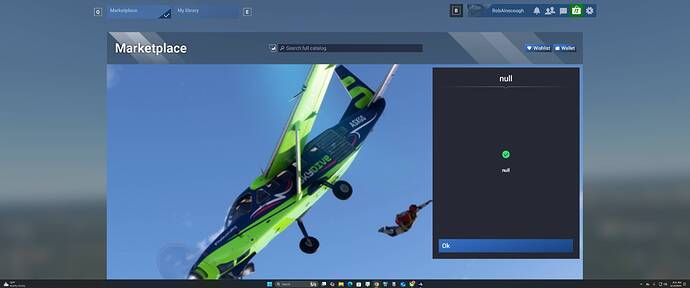 StuckInMarketPlaceWithNULL