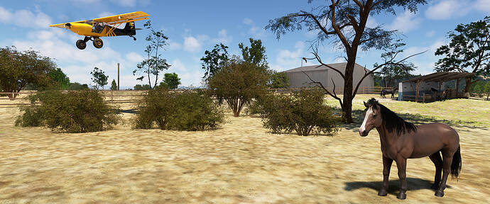 MSFS 2020 - Hogsback Ranch