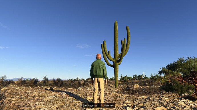 AZ High Mesa (3AZ8) to Kearny (E67) 2