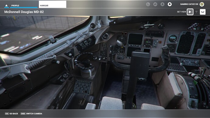 Microsoft Flight Simulator 13_05_2022 00_56_18