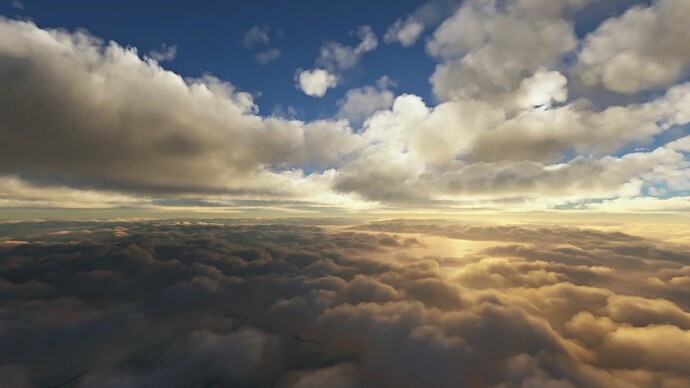 screenshot.2023-11-04 (3)
