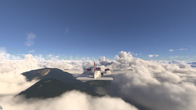 Microsoft Flight Simulator 2024-2025_06_28-10-42-42