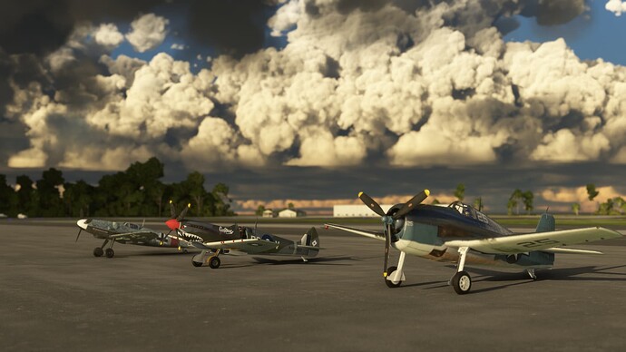 Microsoft Flight Simulator (366)