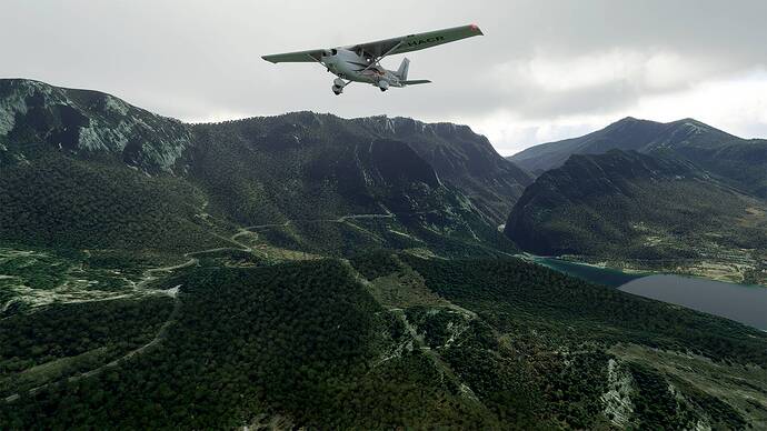 Microsoft Flight Simulator 2021-05-28 10_45_38