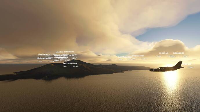 Microsoft Flight Simulator 8_8_2021 2_30_57 PM