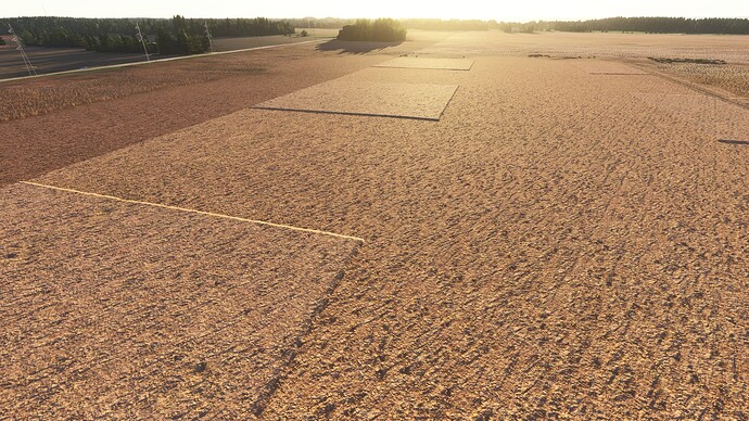 MSFS_2024_Photogrammetry_Squares_5