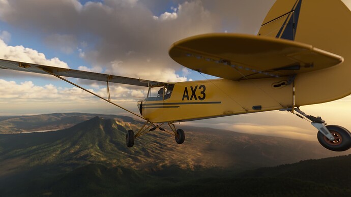 Microsoft Flight Simulator 12.06.2021 12_36_18 - Copy
