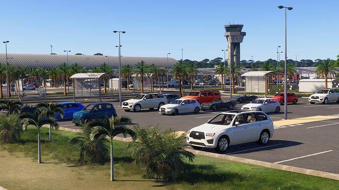 Microsoft Flight Simulator 2024 22_02_2025 03_51_25