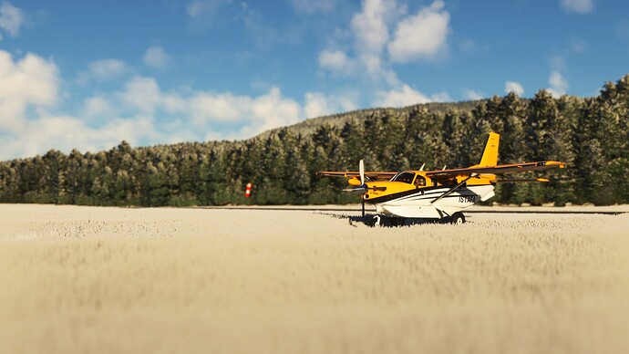 Lero Creek Airport, British Columbia, Canada 3