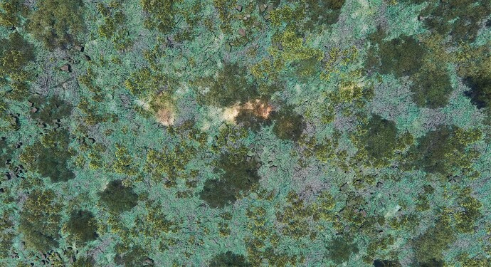 Capture d'écran 2024-12-25 202805