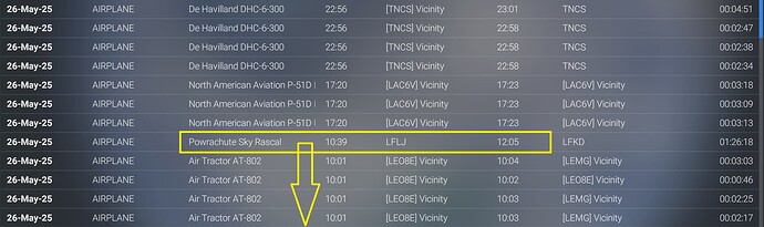 MSFS24 Logbook Rascal