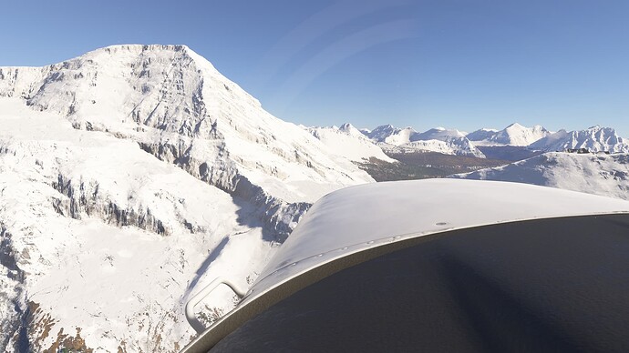 Microsoft Flight Simulator 2024-2025_05_22-14-40-49