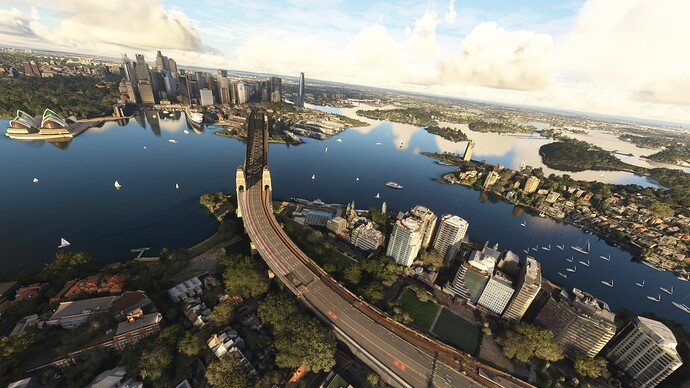 Microsoft Flight Simulator Screenshot 2024.06.14 - 09.49.03.33