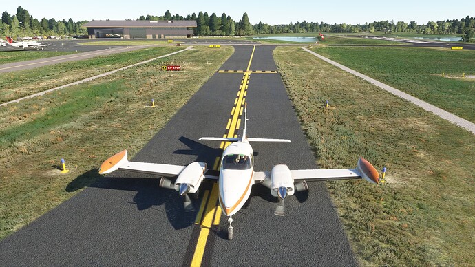Microsoft Flight Simulator Screenshot 2024.03.09 - 17.45.19.87