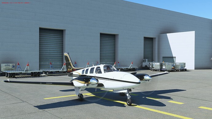 Microsoft Flight Simulator 8_29_2023 8_21_26 AM