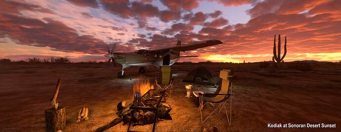 Kodiak-at-Sonoran-Sunset