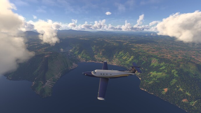 Microsoft Flight Simulator 2024-2025_06_14-10-34-36