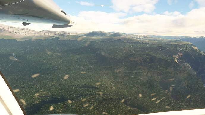 Microsoft Flight Simulator 8_2_2021 1_47_45 PM