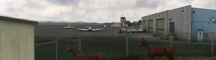 Microsoft Flight Simulator Screenshot 2024.06.09 - 13.28.11.14