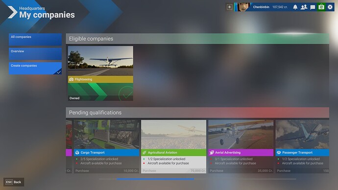 Microsoft Flight Simulator 2024 2025_4_1 12_42_22