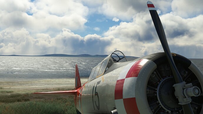 nz26