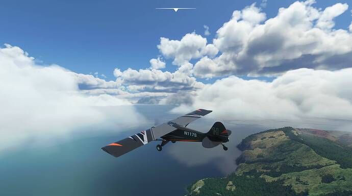 Microsoft Flight Simulator 8_13_2021 1_37_34 PM
