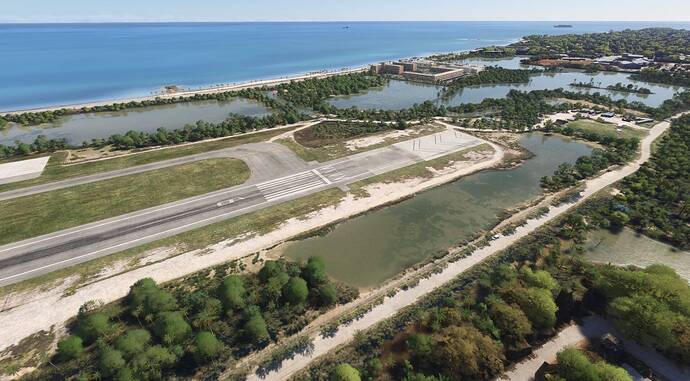 Swamp near Airport