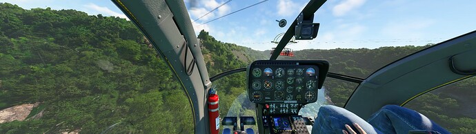 Microsoft Flight Simulator 5_7_2024 00_13_26