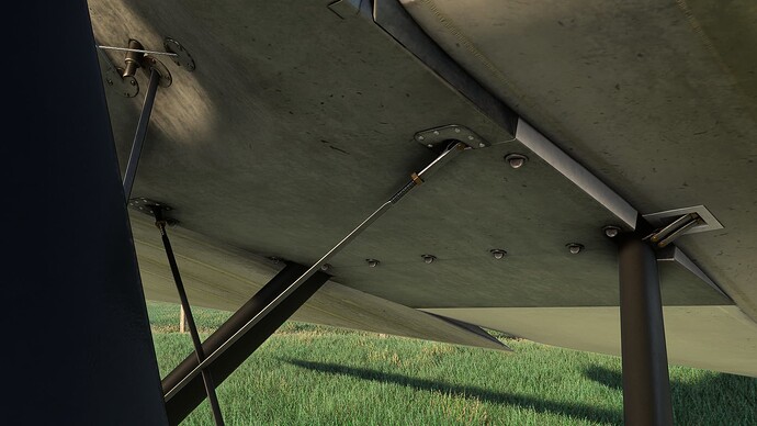 54695542446_13f2d6478c_k