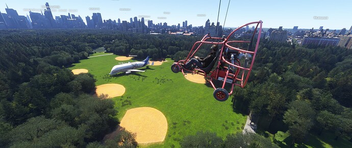 Microsoft Flight Simulator 2024 6-6-2025 20_23_47