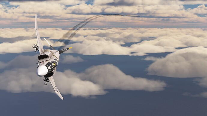 Microsoft Flight Simulator-2025_02_05-22-55-28
