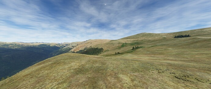 foreset overlook ss