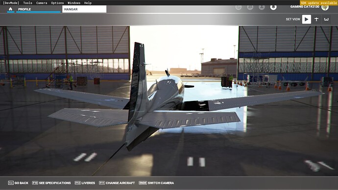 Microsoft Flight Simulator 29.12.2021 19_28_43