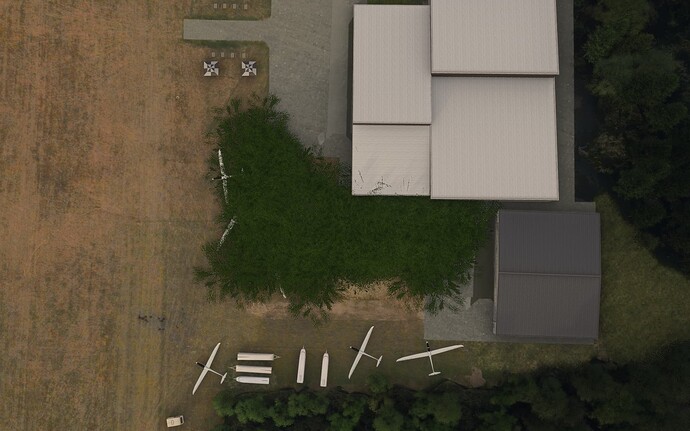 Bushes-1