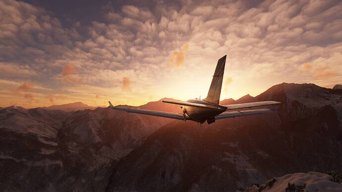Microsoft Flight Simulator 17.05.2021 15_50_30 - Copy