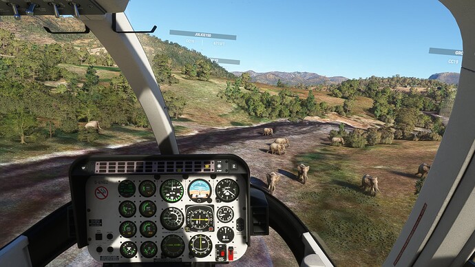 fly-in_world_elephant_day_5