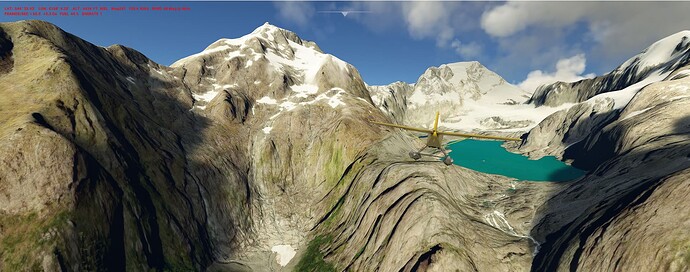 NZ_fl_1