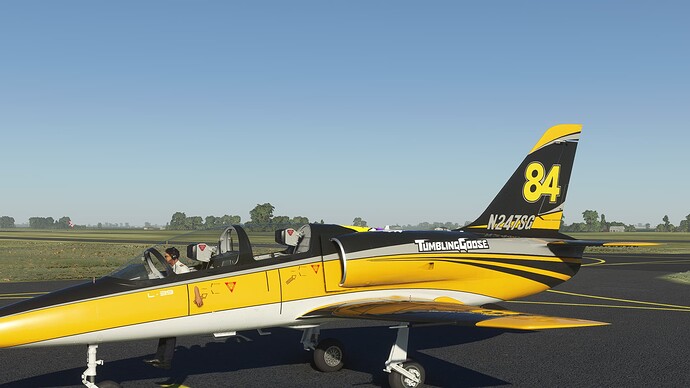 Schermopname (411)