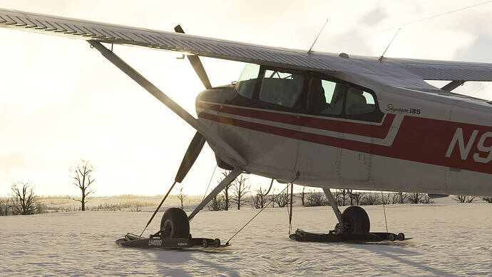 Microsoft Flight Simulator 2024-2025_12_01-03-48-28