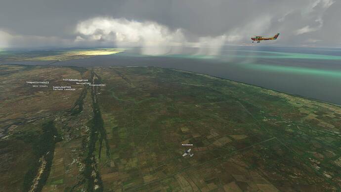 Microsoft Flight Simulator 8_2_2021 11_49_37 AM