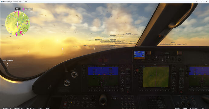 Microsoft Flight Simulator 2024 17-Jul-26 20_17_59