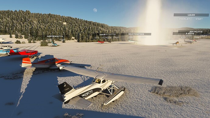 Old Faithful With Friends