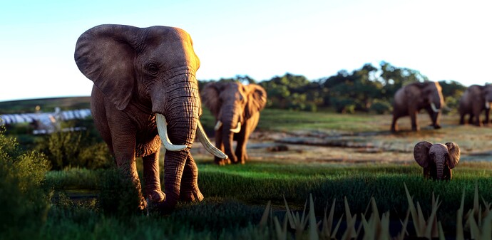 Microsoft Flight Simulator Screenshot 2023.08.17 - 23.39.41.22